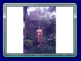 Amma at Garden Brown gold saree